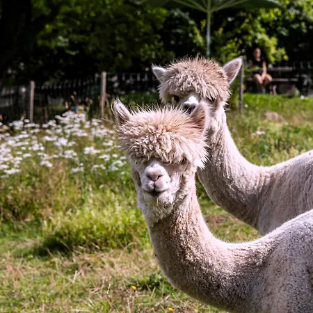 Schwabenhof Apartamento