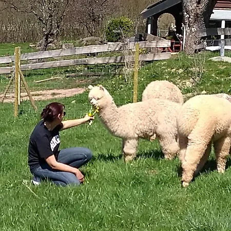 Apartamento Schwabenhof *