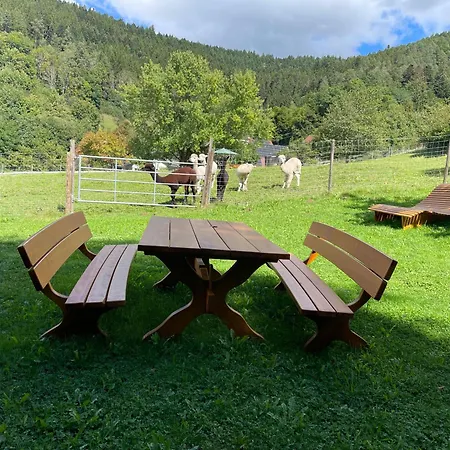 Apartamento Schwabenhof *